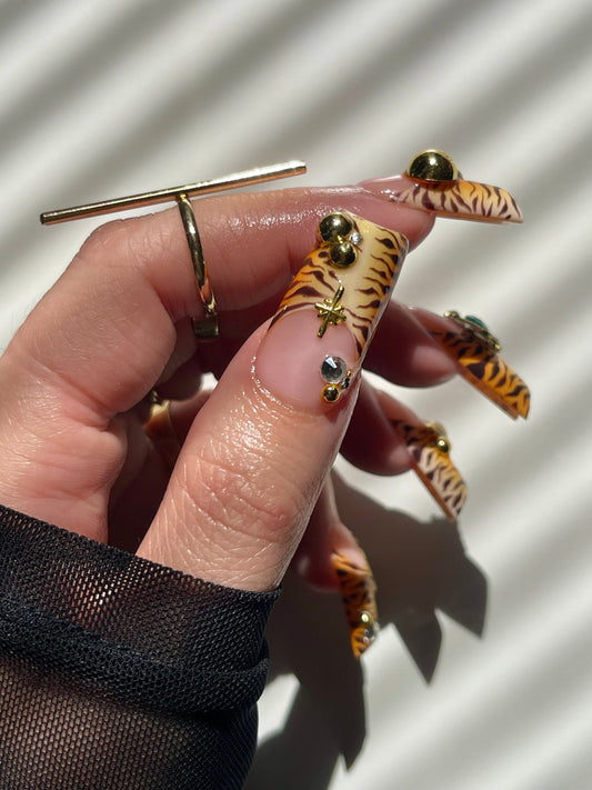 Hand with tiger nail design holding a clear hair straightener against a white background